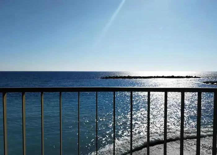 Regis Citra 00855ltn1108 *