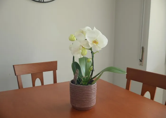 Appartement Regis Citra 00855ltn1108